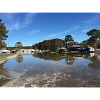 Day after the king tide Williamsburg in James City County image
